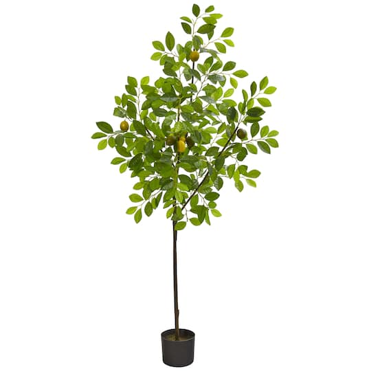 5ft. Potted Lemon Tree